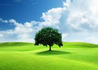 image test 